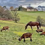 Domaine de Cazal - Gîte 4 pers avec piscine au cœur de 26 hectares de nature préservée Casa vacanze Saint-Cyprien (Dordogne)