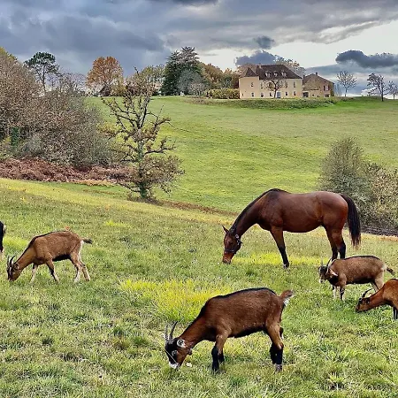 Domaine De Cazal - 4 Pers Hébergement de vacances Saint-Cyprien (Dordogne)