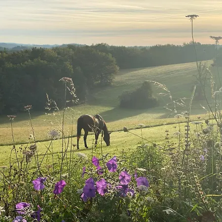 Domaine De Cazal - 4 Pers Avec Piscine Au Coeur De 26 Hectares De Nature Preservee Сasa de vacaciones *